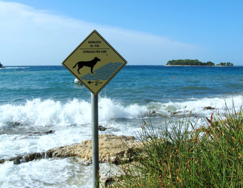 Собачий пляж в Ровине, Хорватия