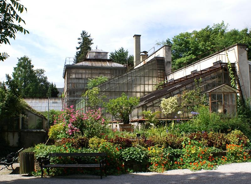 Ботанический сад (Botanischer Garten) 