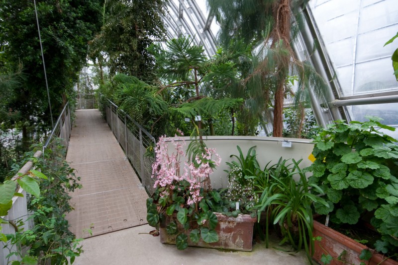 Ботанический сад (Botanischer Garten) 