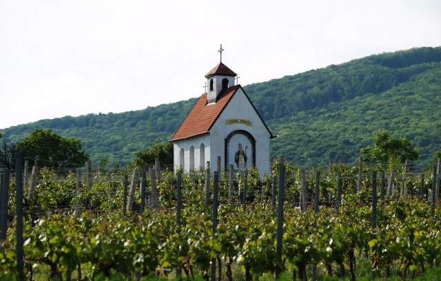 Гумпольдскирхен (Gumpoldskirchen)