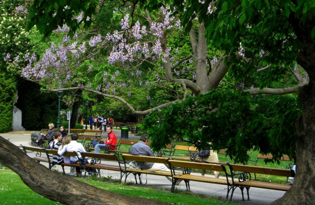 Городской парк (Stadtpark)