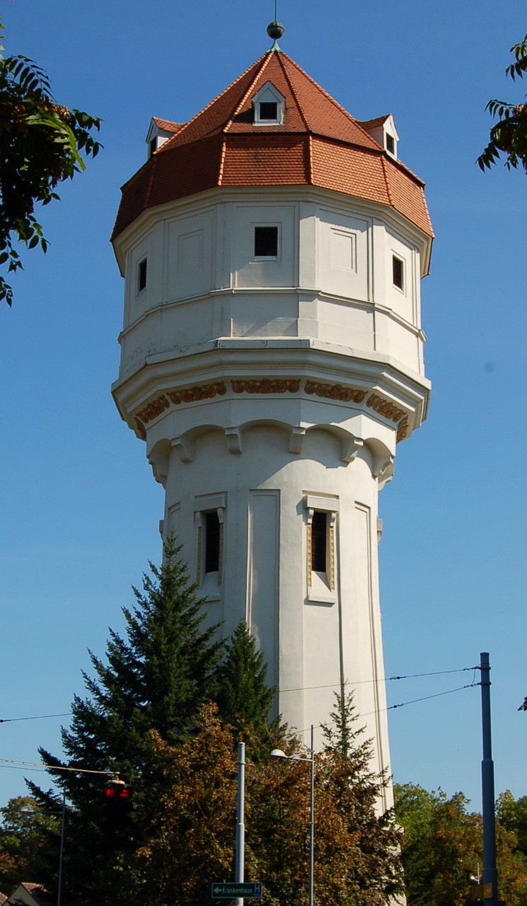 Башня юнга в боллингене фото