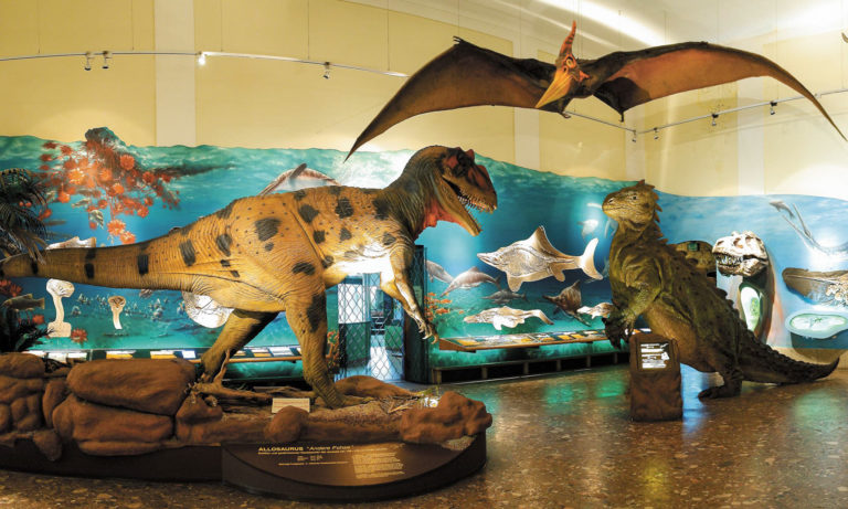 Дом природы (Haus der Natur Salzburg)