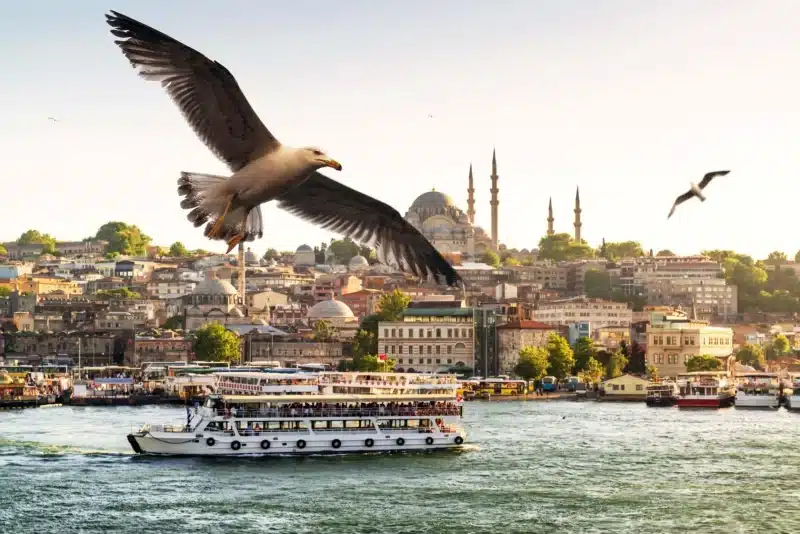 30 индивидуальных экскурсий в Стамбуле на русском языке