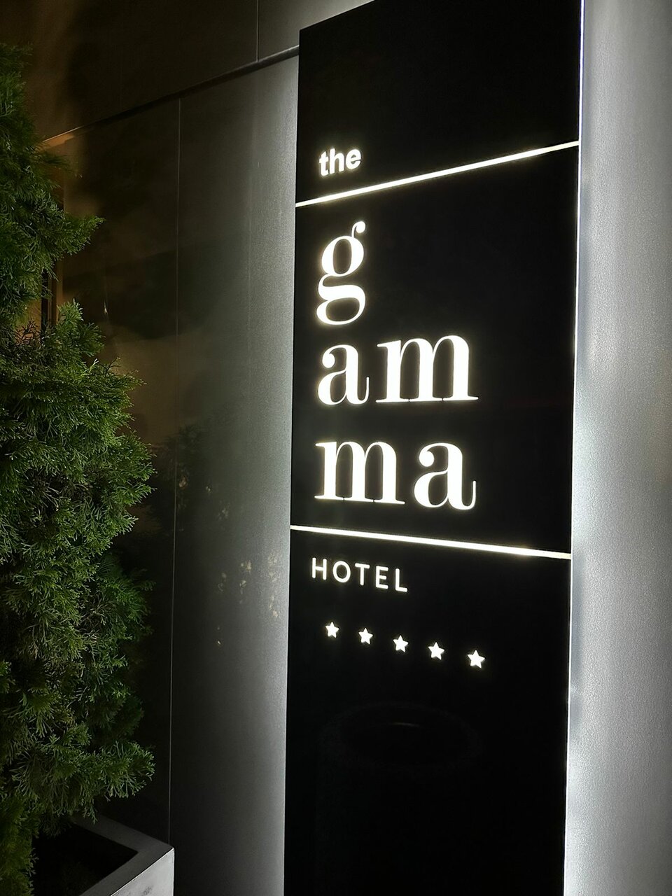 The Gamma